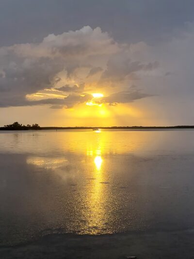 Edgewater Drive Park - Clearwater, FL