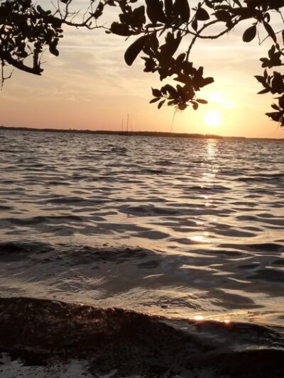 Edgewater Drive Park - Clearwater, FL