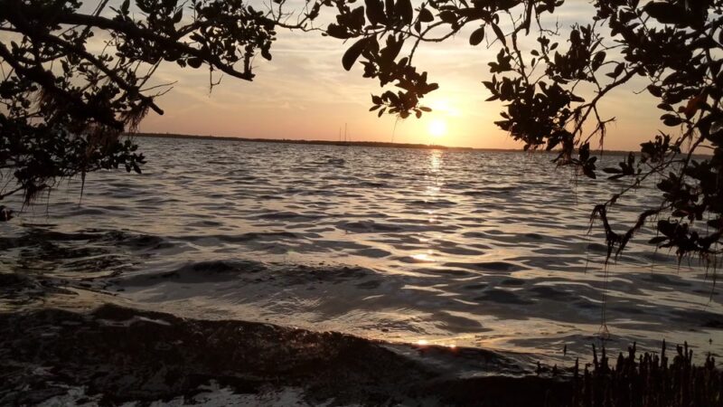 Edgewater Drive Park - Clearwater, FL