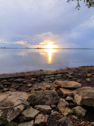 Edgewater Drive Park - Clearwater, FL