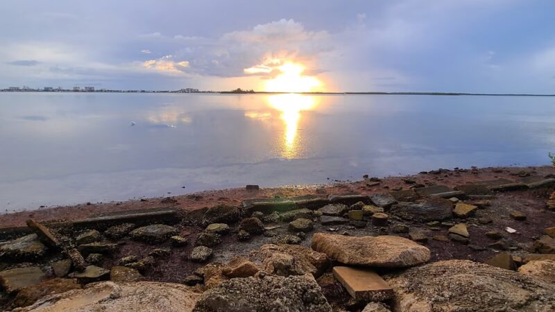 Edgewater Drive Park - Clearwater, FL