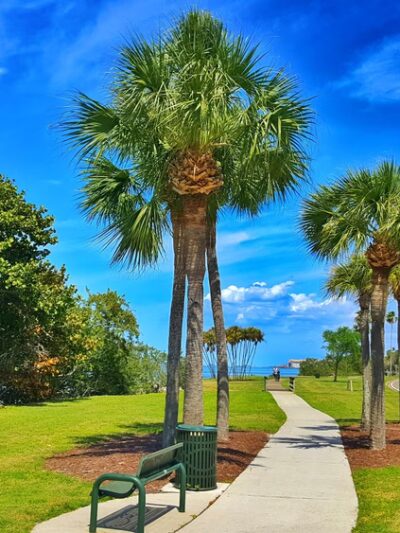 Edgewater Drive Park - Clearwater, FL