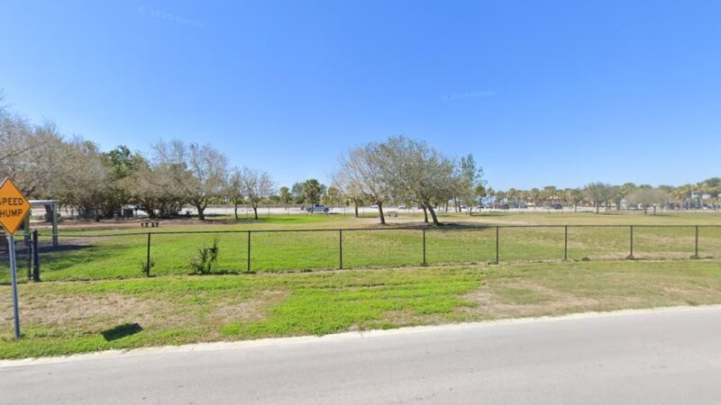 Fenced Dog play area - Clearwater, FL
