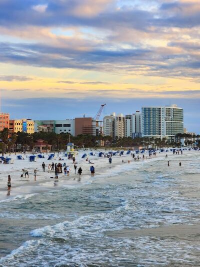 North Clearwater Dog Beach - Clearwater, FL