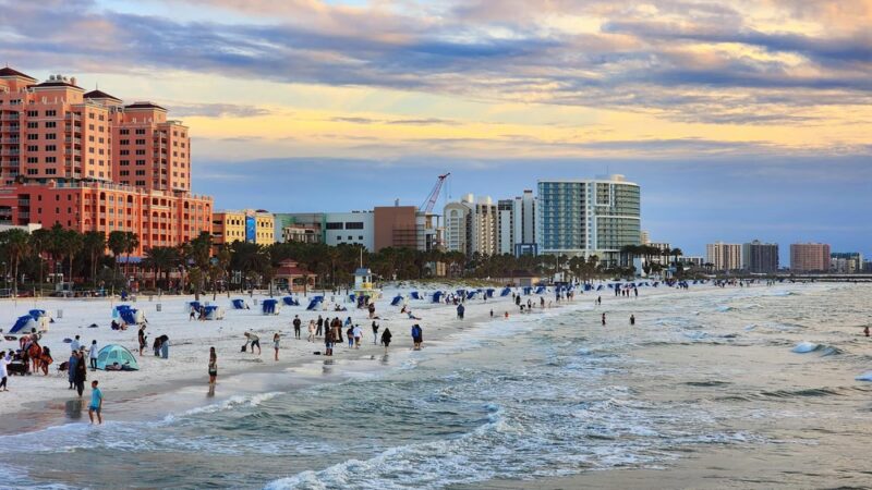North Clearwater Dog Beach - Clearwater, FL