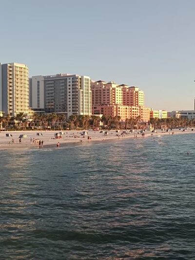 North Clearwater Dog Beach - Clearwater, FL