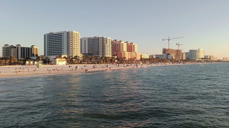North Clearwater Dog Beach - Clearwater, FL
