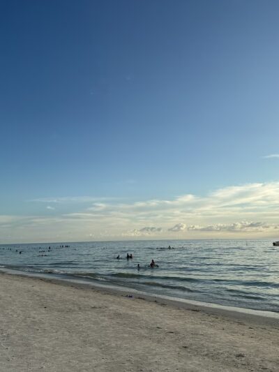 North Clearwater Dog Beach - Clearwater, FL