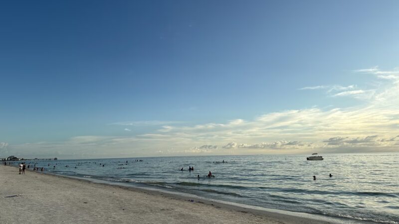 North Clearwater Dog Beach - Clearwater, FL