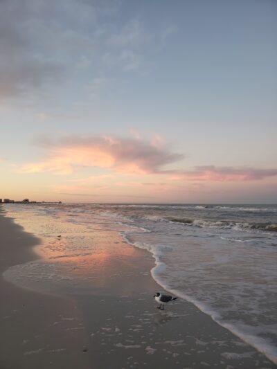 North Clearwater Dog Beach - Clearwater, FL