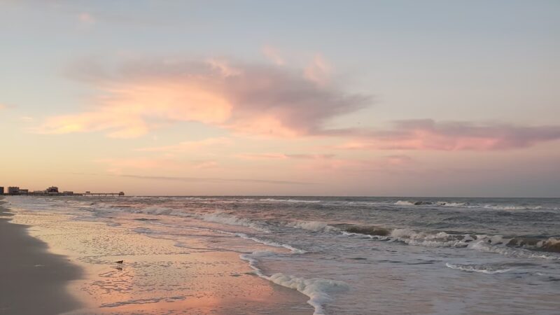 North Clearwater Dog Beach - Clearwater, FL