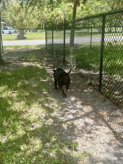 Sandkey.Park - Clearwater, FL