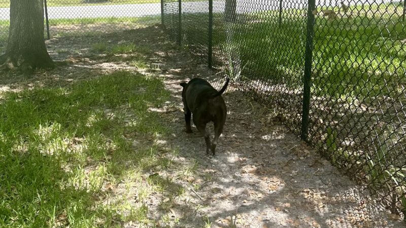 Sandkey.Park - Clearwater, FL