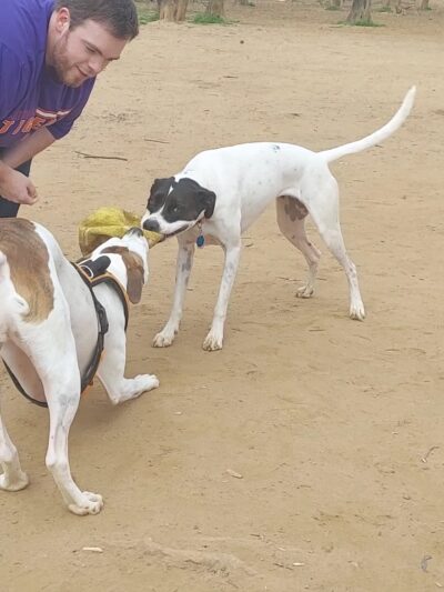 Nettles Park - Clemson, SC