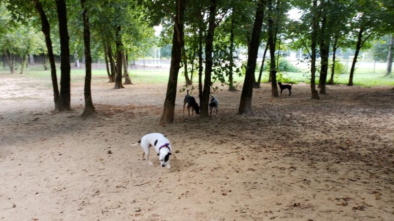 Nettles Park - Clemson, SC