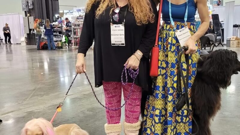 Barking Lot - Cleveland, GA