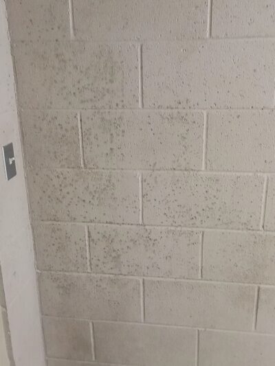 Amzie Moore Park - Cleveland, MS