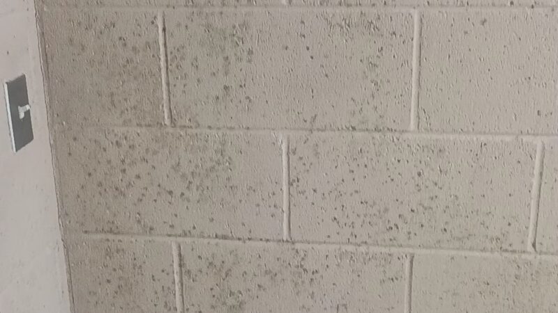 Amzie Moore Park - Cleveland, MS