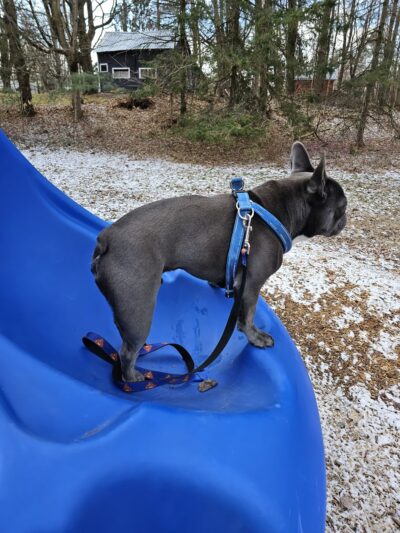 Cleveland memorial park - Cleveland, NY