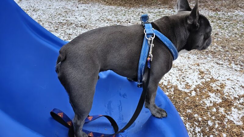 Cleveland memorial park - Cleveland, NY