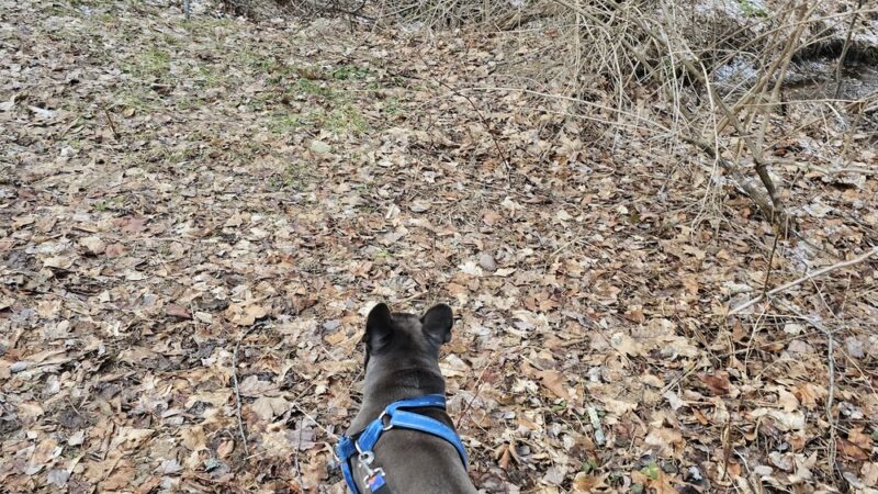 Cleveland memorial park - Cleveland, NY