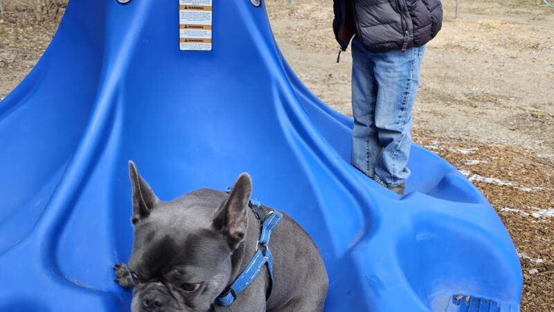 Cleveland memorial park - Cleveland, NY