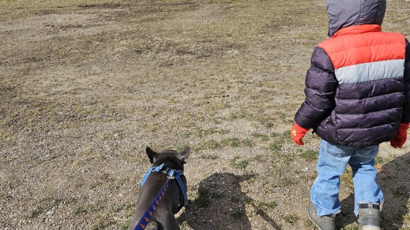 Cleveland memorial park - Cleveland, NY