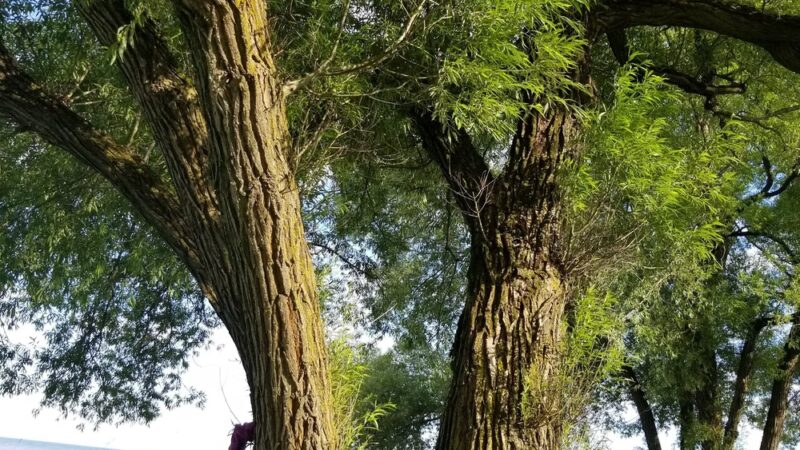 Hika Park - Cleveland, WI