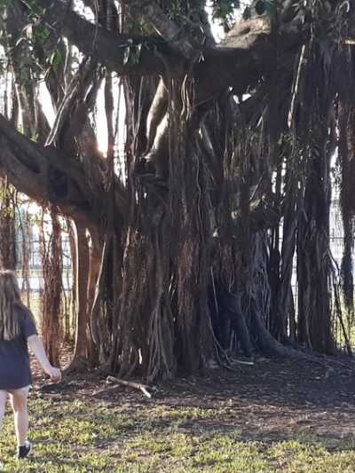 Sikes Park - Clewiston, FL