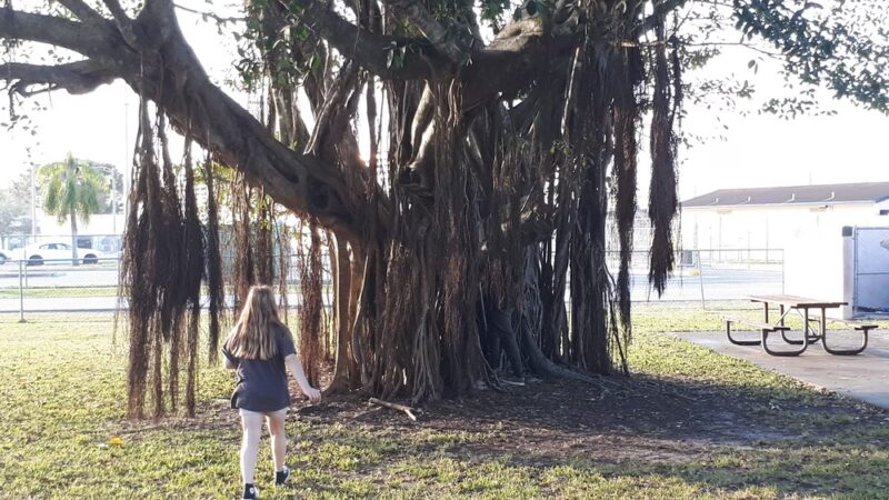 Sikes Park - Clewiston, FL