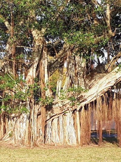 Sikes Park - Clewiston, FL