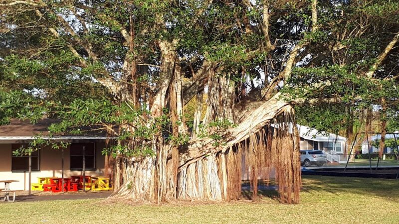 Sikes Park - Clewiston, FL