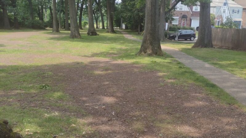 Allwood Park - Clifton, NJ