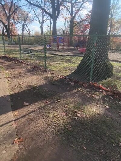 Allwood Park - Clifton, NJ