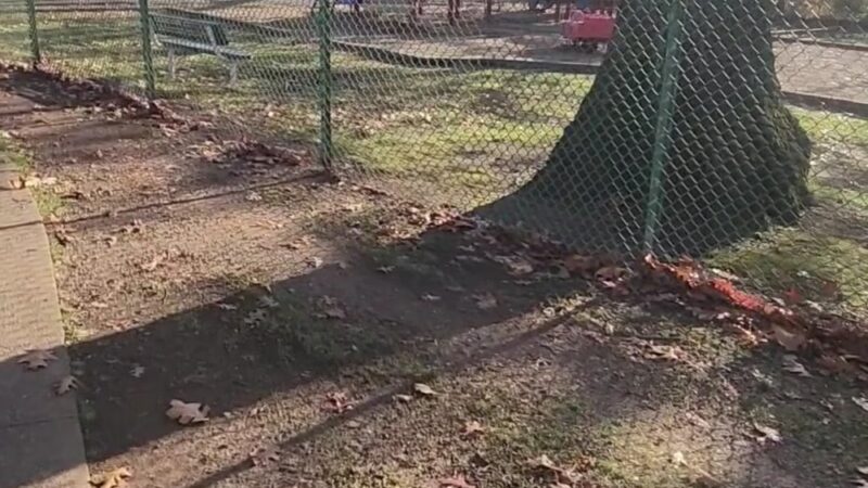 Allwood Park - Clifton, NJ