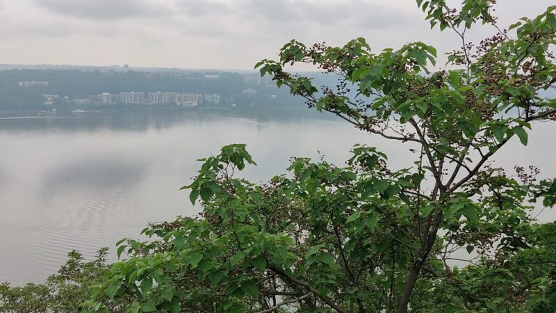 Palisades Interstate Park Trail - Closter, NJ