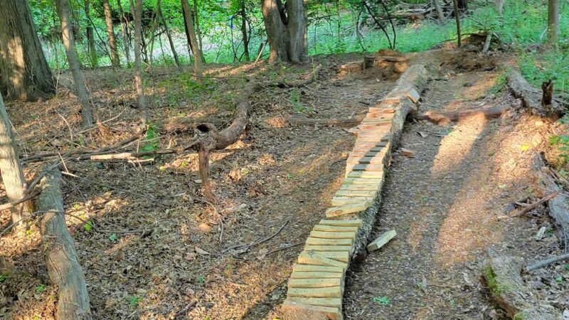 Schauble Park - Closter, NJ