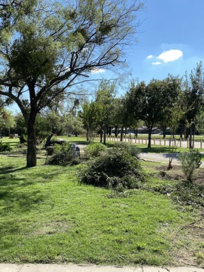 Clyde Public Park - Clyde, TX