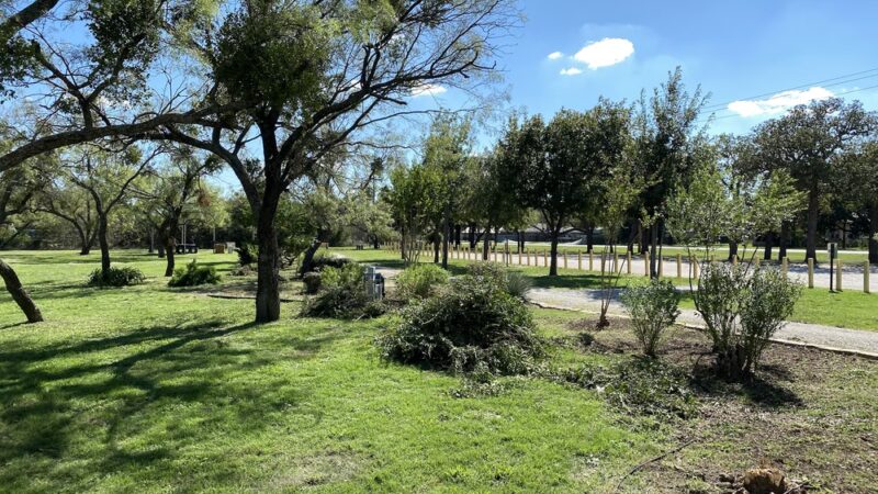 Clyde Public Park - Clyde, TX