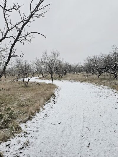 The Deer Head Trail of Lake Clyde - Clyde, TX