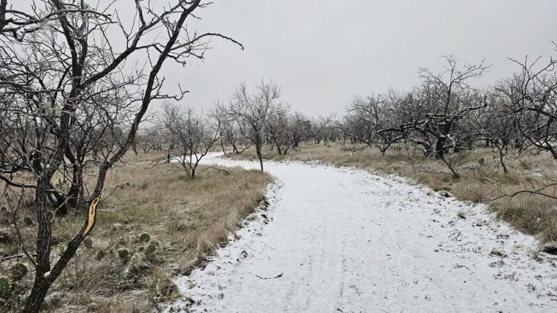 The Deer Head Trail of Lake Clyde - Clyde, TX