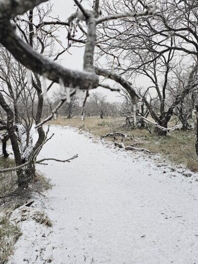 The Deer Head Trail of Lake Clyde - Clyde, TX