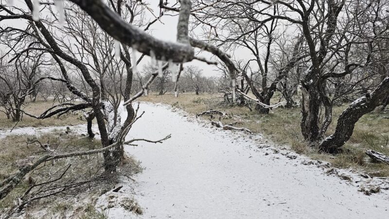The Deer Head Trail of Lake Clyde - Clyde, TX