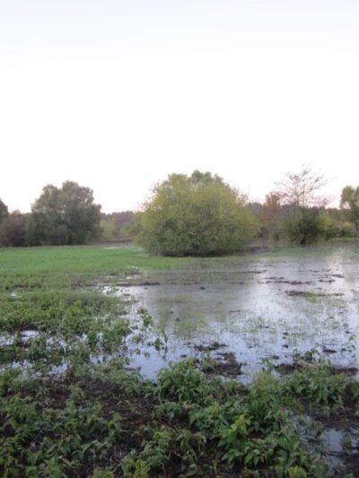 The Gin RV Parking, Camp Sites and Tiny Shack - Coahoma, MS