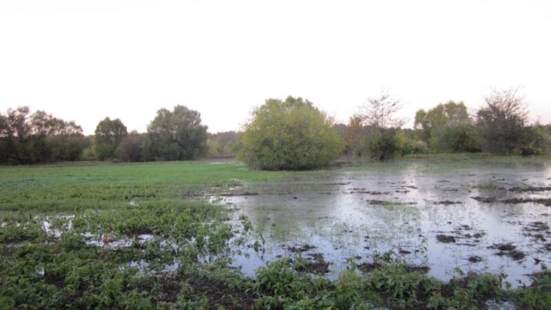 The Gin RV Parking, Camp Sites and Tiny Shack - Coahoma, MS