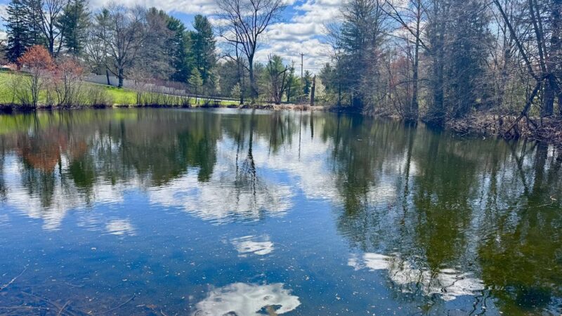 East Fallowfield community park - Coatesville, PA