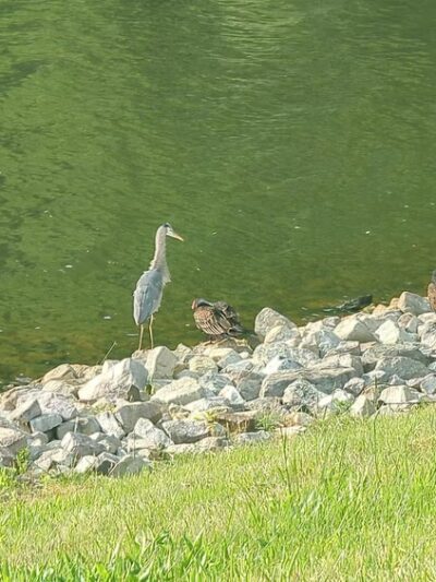 Hibernia County Park - Coatesville, PA