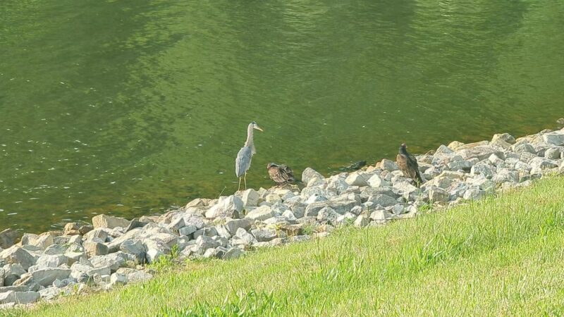 Hibernia County Park - Coatesville, PA