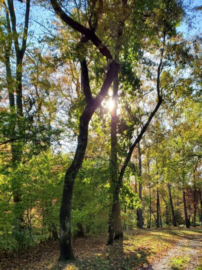 Hibernia County Park - Coatesville, PA