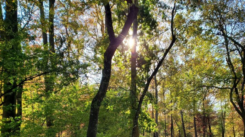 Hibernia County Park - Coatesville, PA
